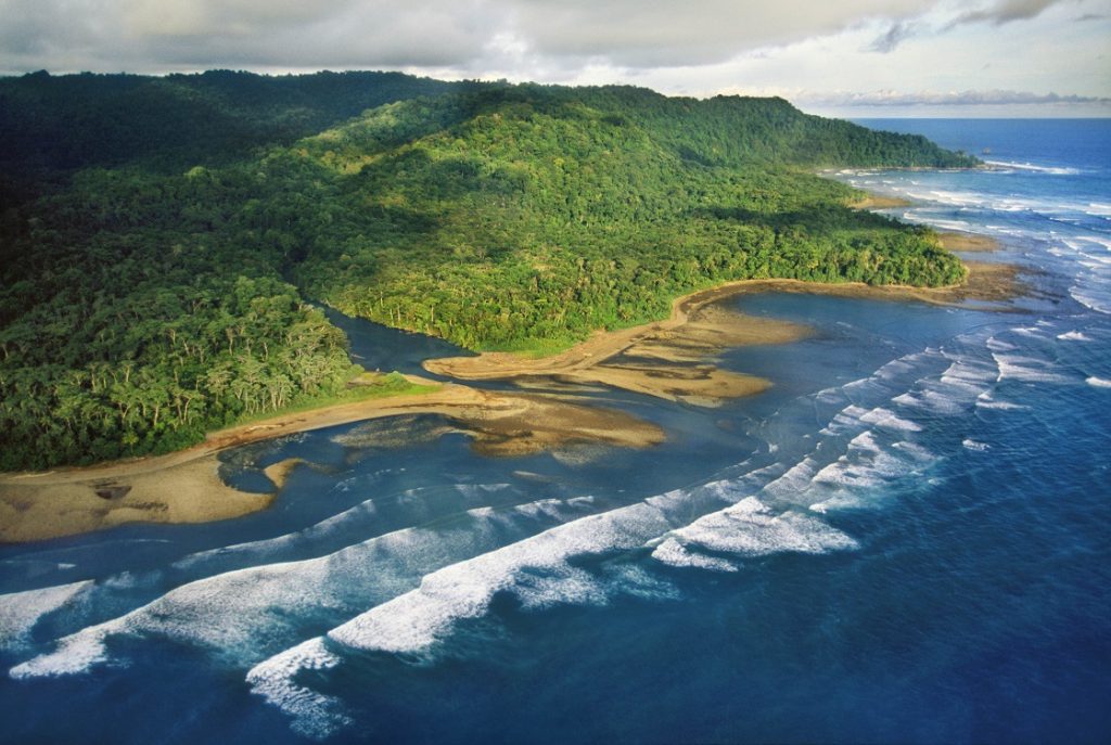Turismo en Parque Nacional Corcovado: Descubre el tesoro natural de Costa Rica