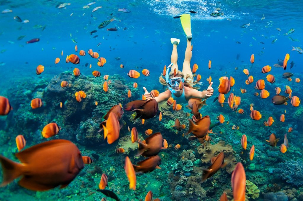Snorkel y buceo: Una ventana al mundo submarino