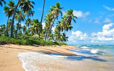 Turismo en Praia do Forte: Un paraíso natural en la costa de Bahía