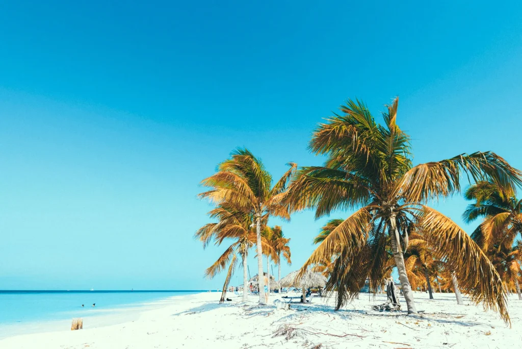 Descubre Cayo Largo: Un paraíso escondido que lo tiene todo